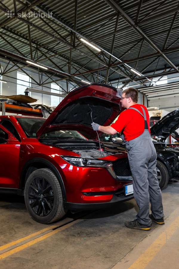 Automobilių išrinkėjas / surinkėjas dažykloje - nuotraukos Nr. 4