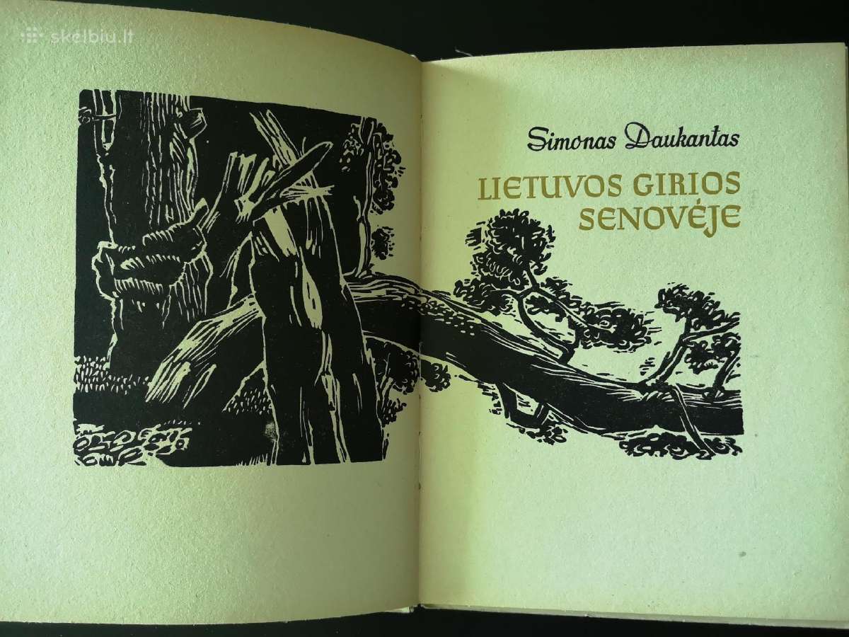 S. Daukantas Lietuvos girios senovėje - nuotraukos Nr. 2