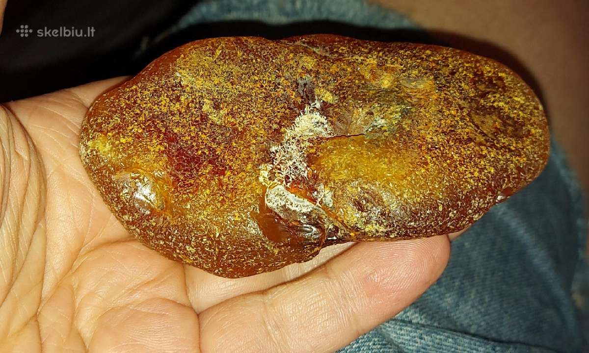 Baltijos gintaras