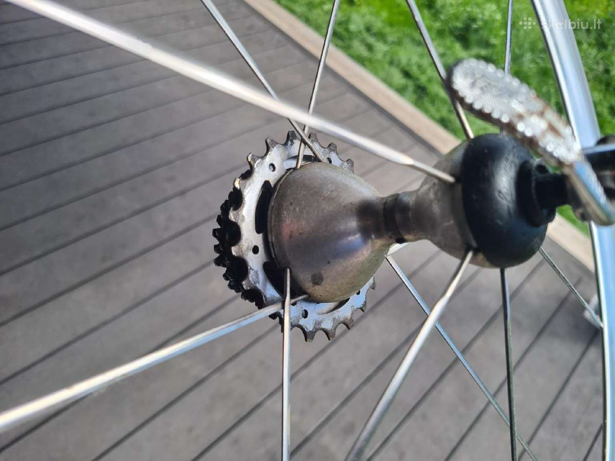 Campagnolo 28' - nuotraukos Nr. 8