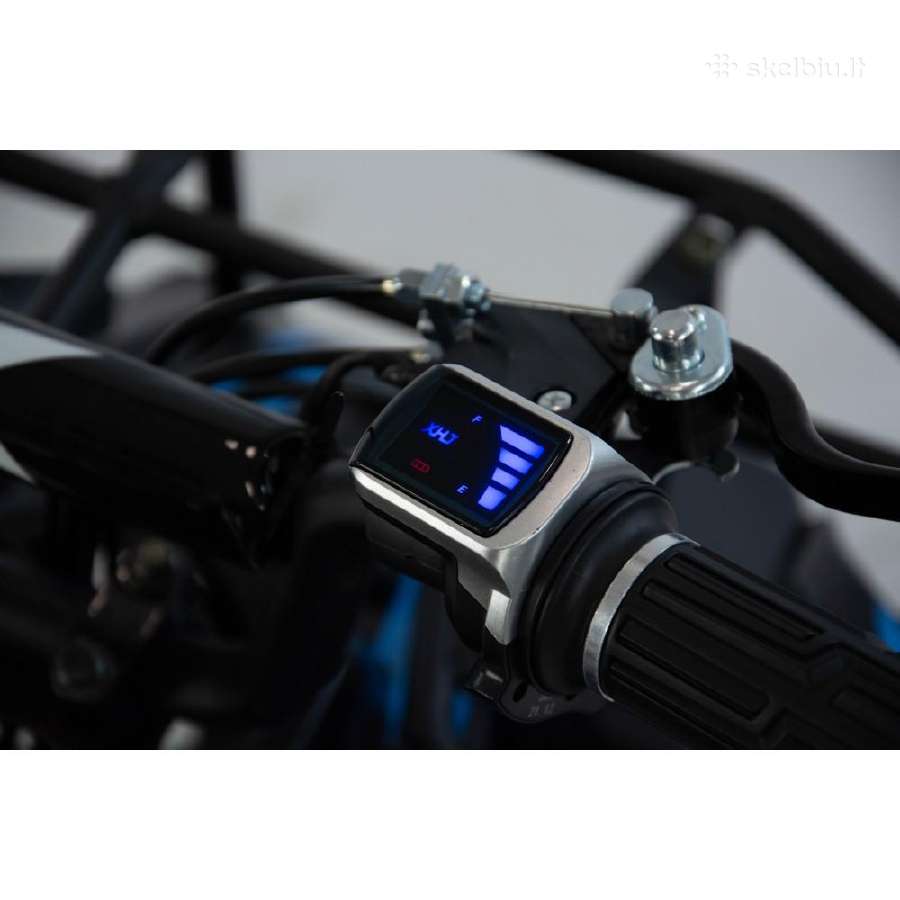 Elektrinis keturratis XTR M9/6 1000w - nuotraukos Nr. 3