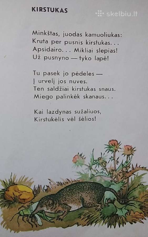Labas,sraige,kur eini ? - nuotraukos Nr. 9