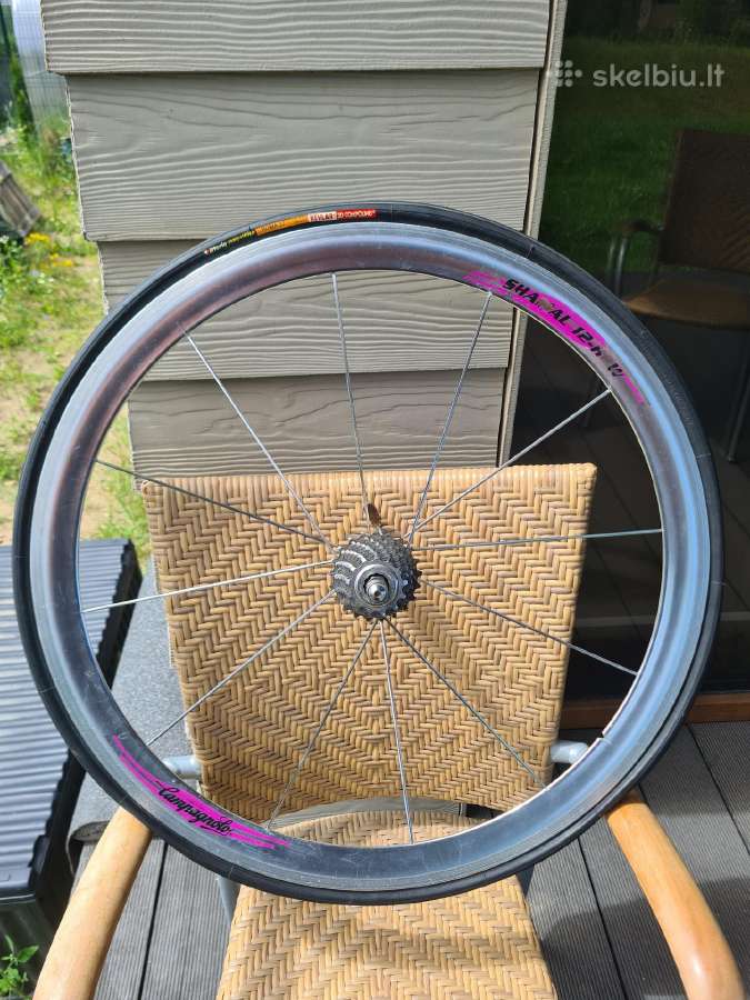 Campagnolo 28' - nuotraukos Nr. 4