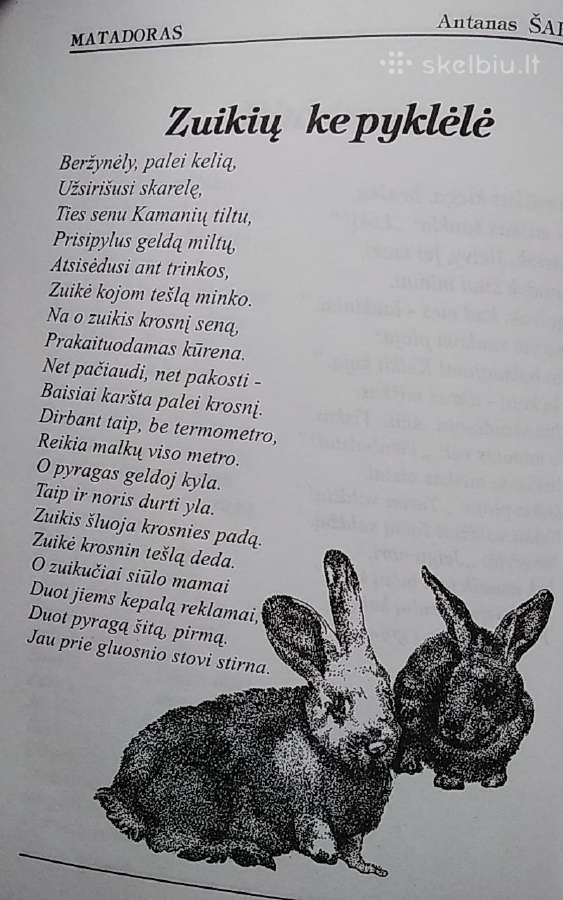 Antanas Šarkelė eilėraščiai vaikams - nuotraukos Nr. 6