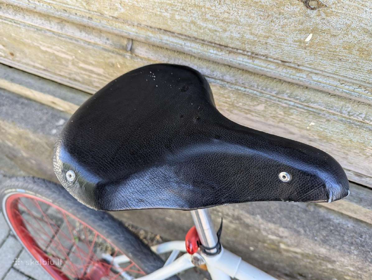 Vienabėgis Single Speed Retro Miesto Dviratis - nuotraukos Nr. 7