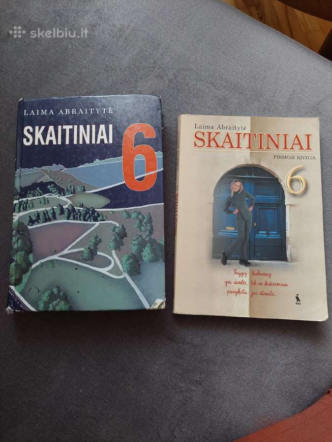 L. Abraitytė. Skaitiniai. 6 kl. - nuotraukos Nr. 2