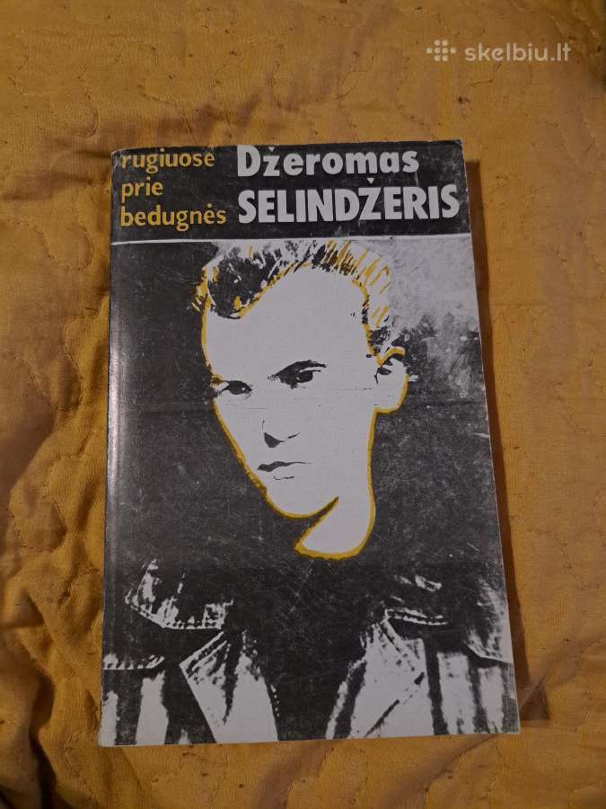D.selindžerio knygos - nuotraukos Nr. 2