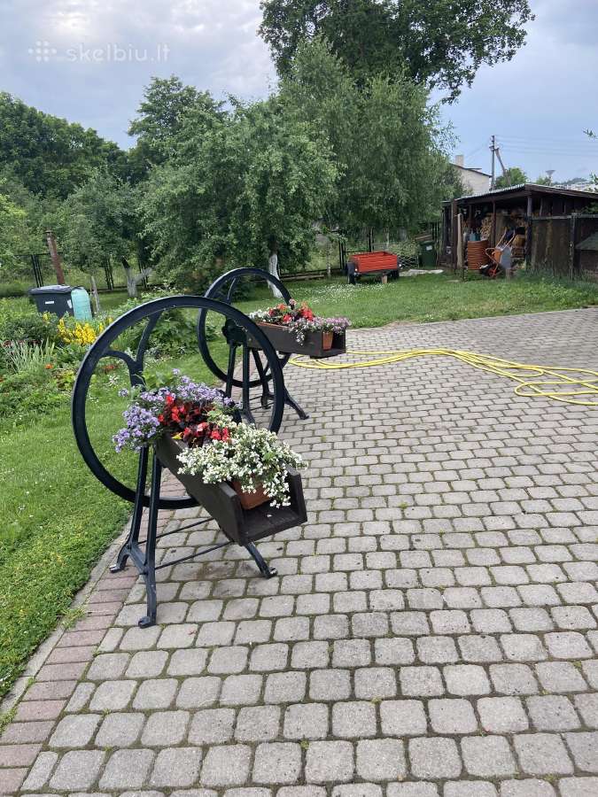 Parduodame šienopjaustai , tinka papuošti sodybą ,