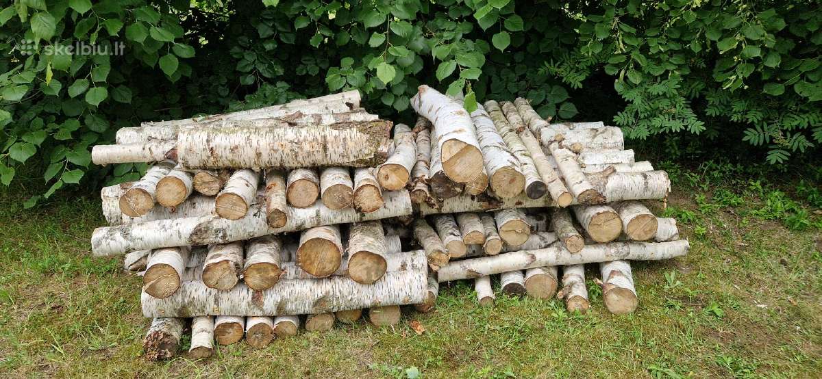 Rąsteliai grybams Žemaitijoje.