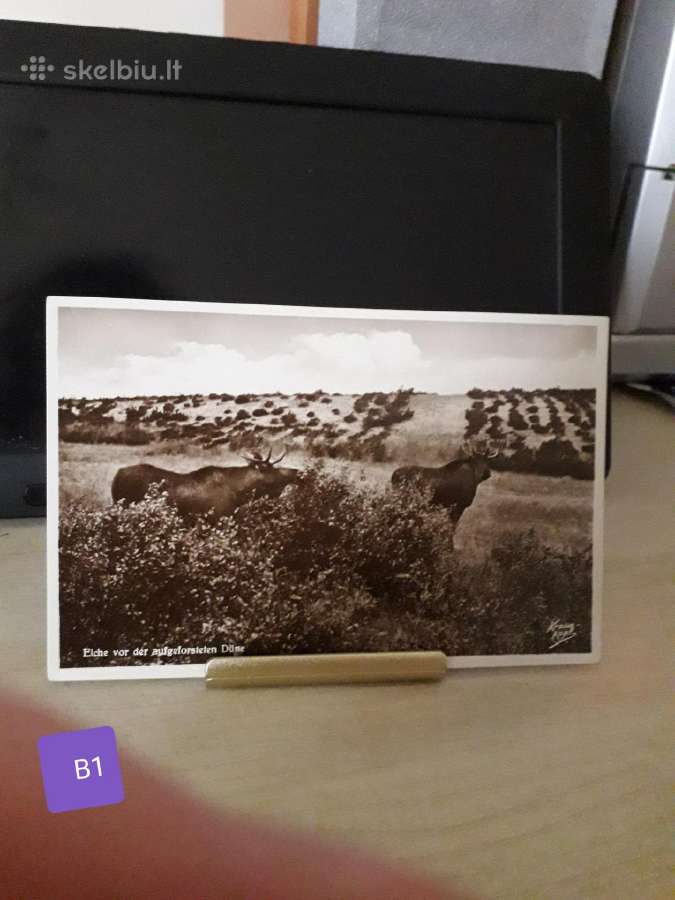 Atvirutės ir foto su pajūriu.