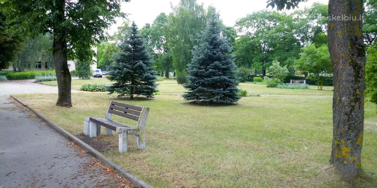 Žoles pjovimas,medžių ir krūmų pjovimas ir išvež. - nuotraukos Nr. 3