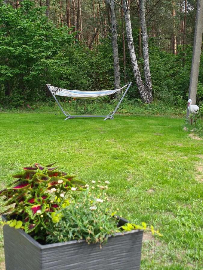 "Šūrelio" sodyba ramiam šeimų poilsiui - nuotraukos Nr. 2