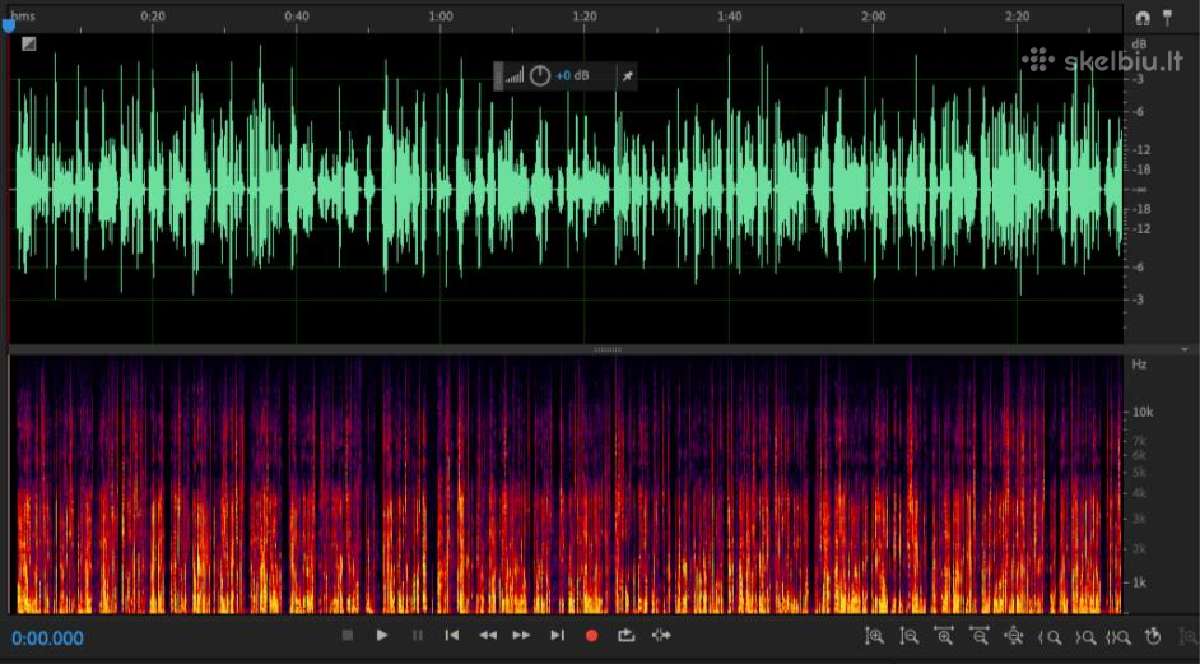 Garso balso įrašų valymas. Audio įrašų redagavimas