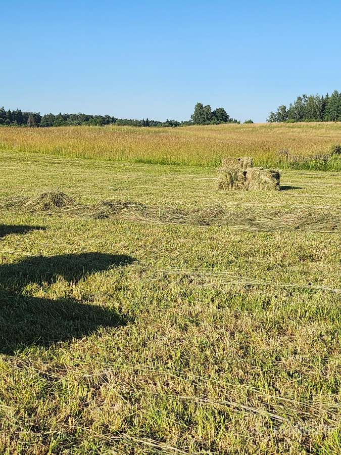 Šienas kitkomis ir avižas. Galu atvežti - nuotraukos Nr. 9