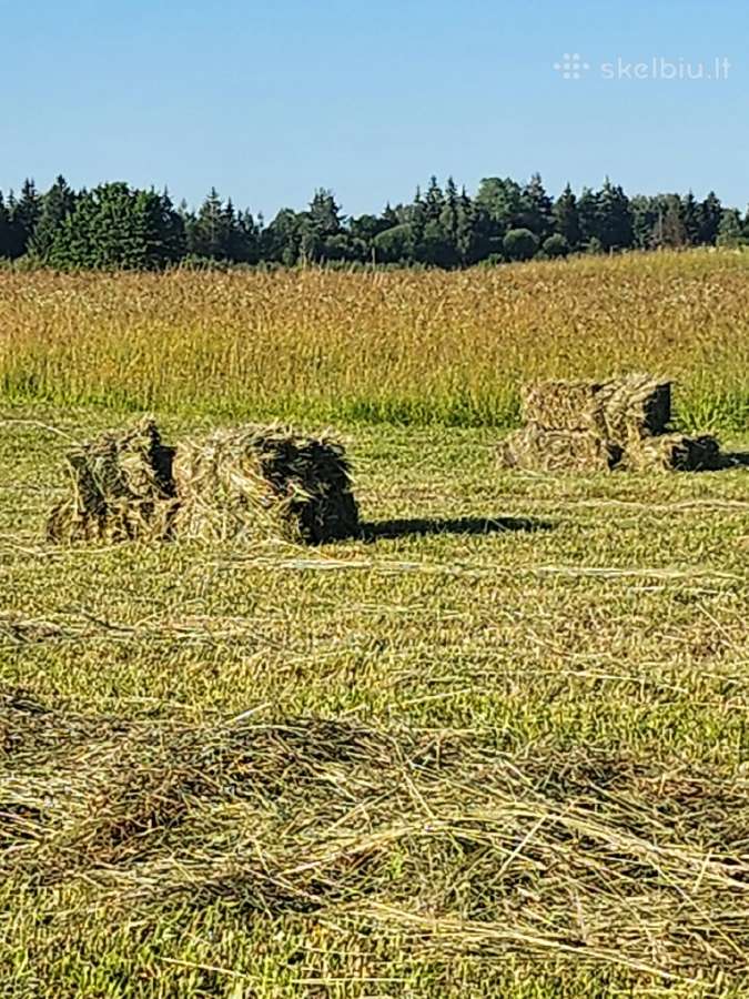 Šienas kitkomis ir rulonais. Galu atvežti - nuotraukos Nr. 9