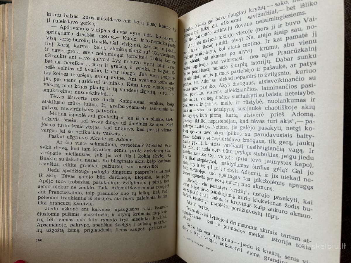 J. Avyzius- Sodybu tustejimo metas, 1973m - nuotraukos Nr. 6