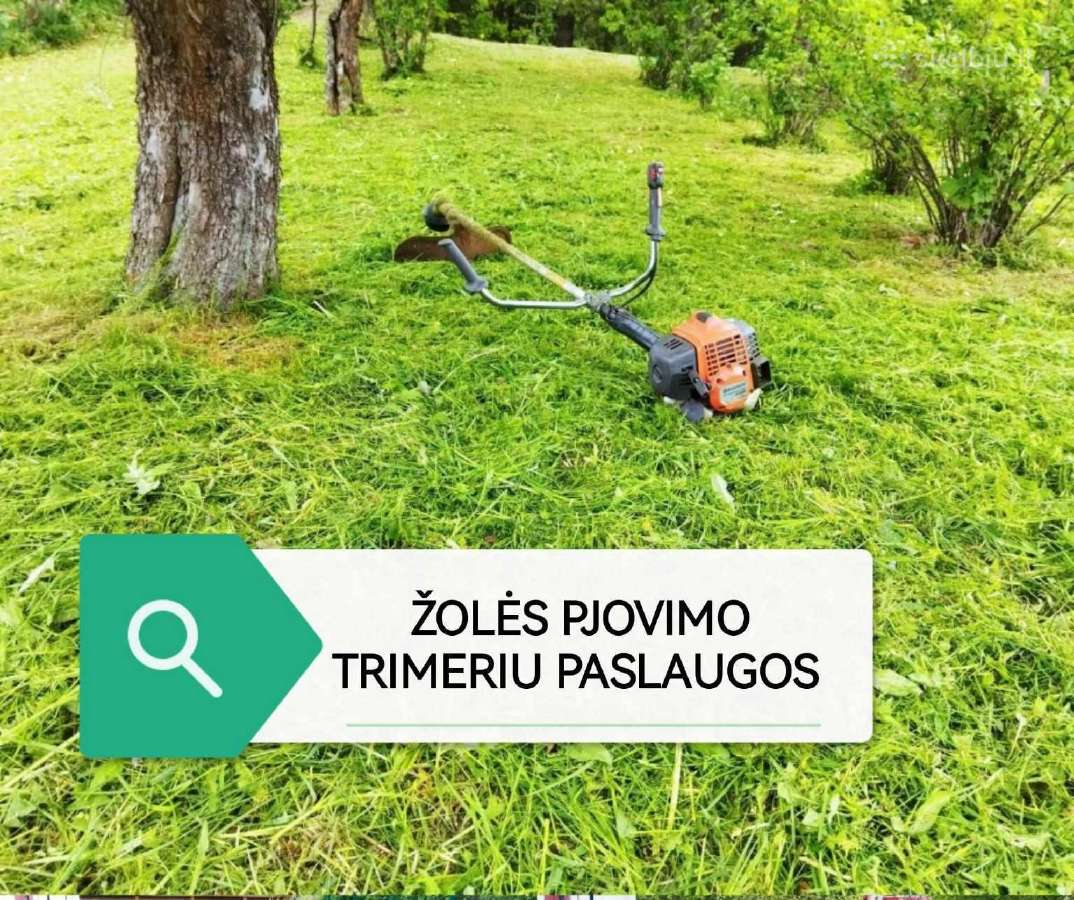 Žolės ir medžių pjovimas - nuotraukos Nr. 4