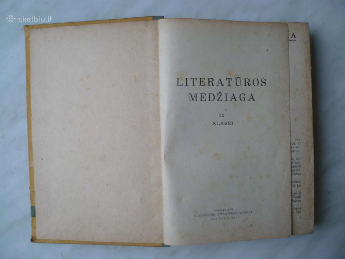 Literatūros medžiaga 9 klasei - nuotraukos Nr. 2