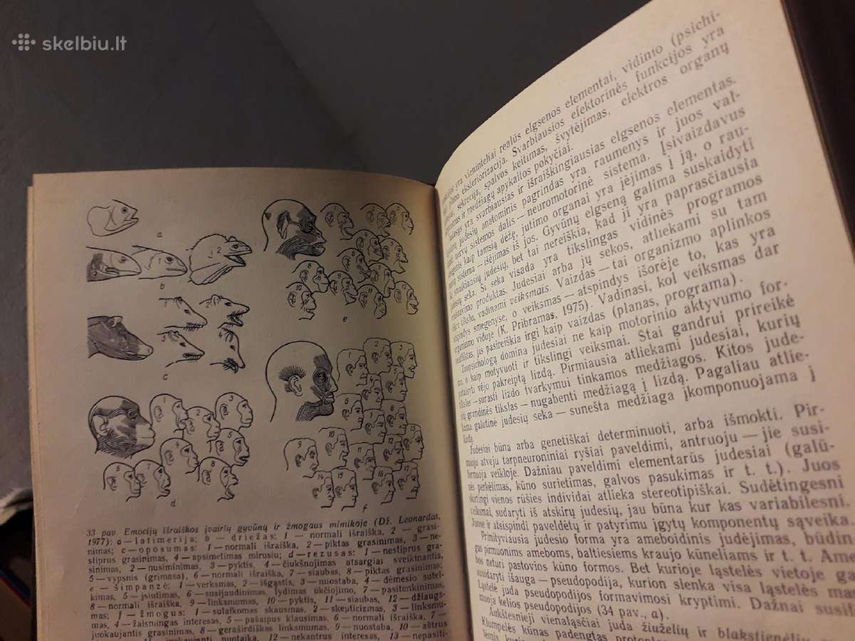 A. Bagdonas "Zoo psichologija" 1983 metai - nuotraukos Nr. 5
