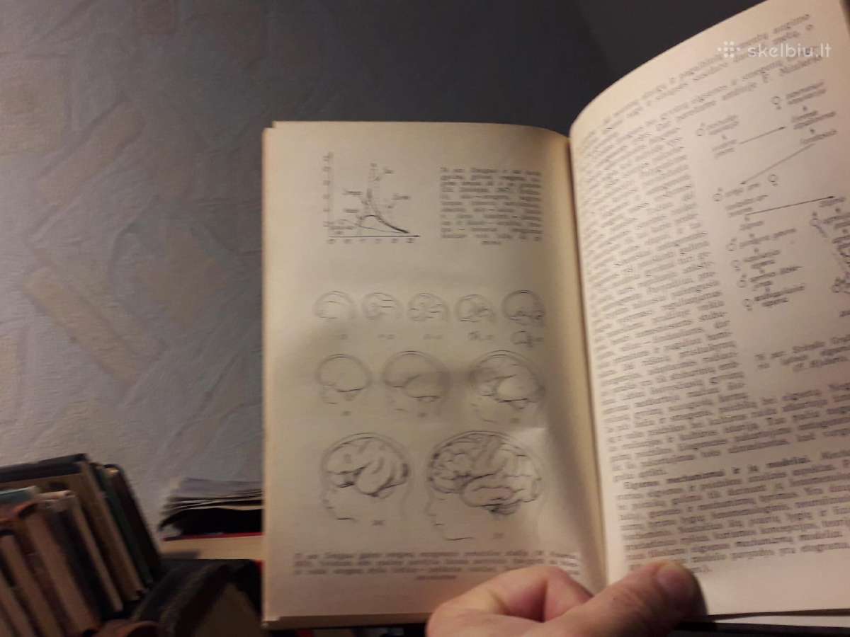 A. Bagdonas "Zoo psichologija" 1983 metai - nuotraukos Nr. 6