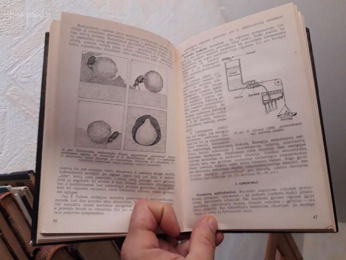 A. Bagdonas "Zoo psichologija" 1983 metai - nuotraukos Nr. 4