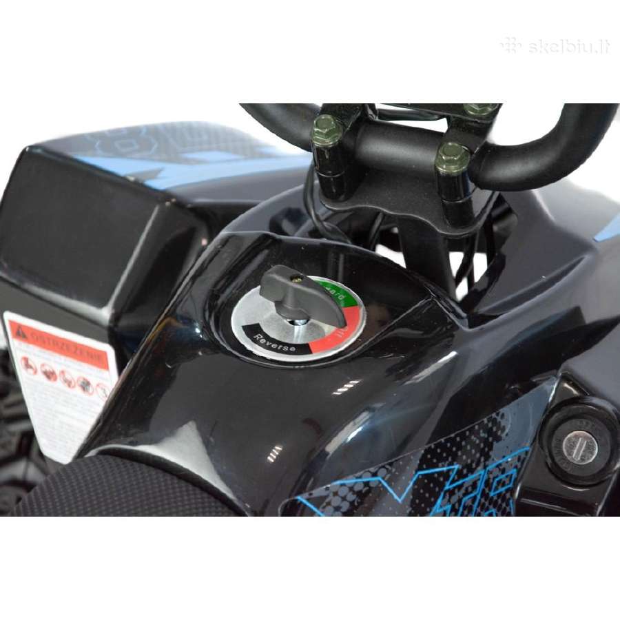 Elektrinis keturratis XTR E-m8/6 1000w - nuotraukos Nr. 11