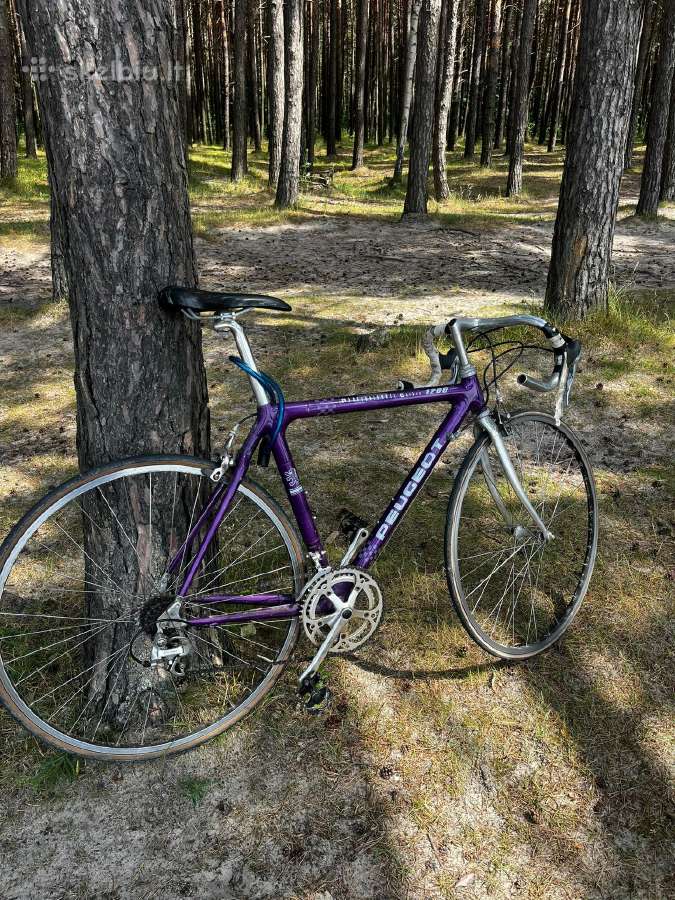 Anglies pluosto carbon Peugeot plentinukas 51cm