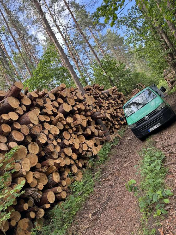 Išpardavimas Malkų 50€ Kubas - nuotraukos Nr. 7