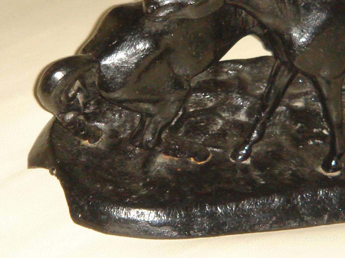 Sunkaus metalo Kasli - nuotraukos Nr. 7
