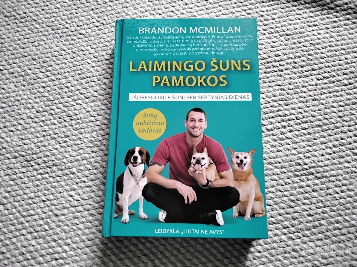 Laimingo šuns pamokos: išdresuokite šunį per septy