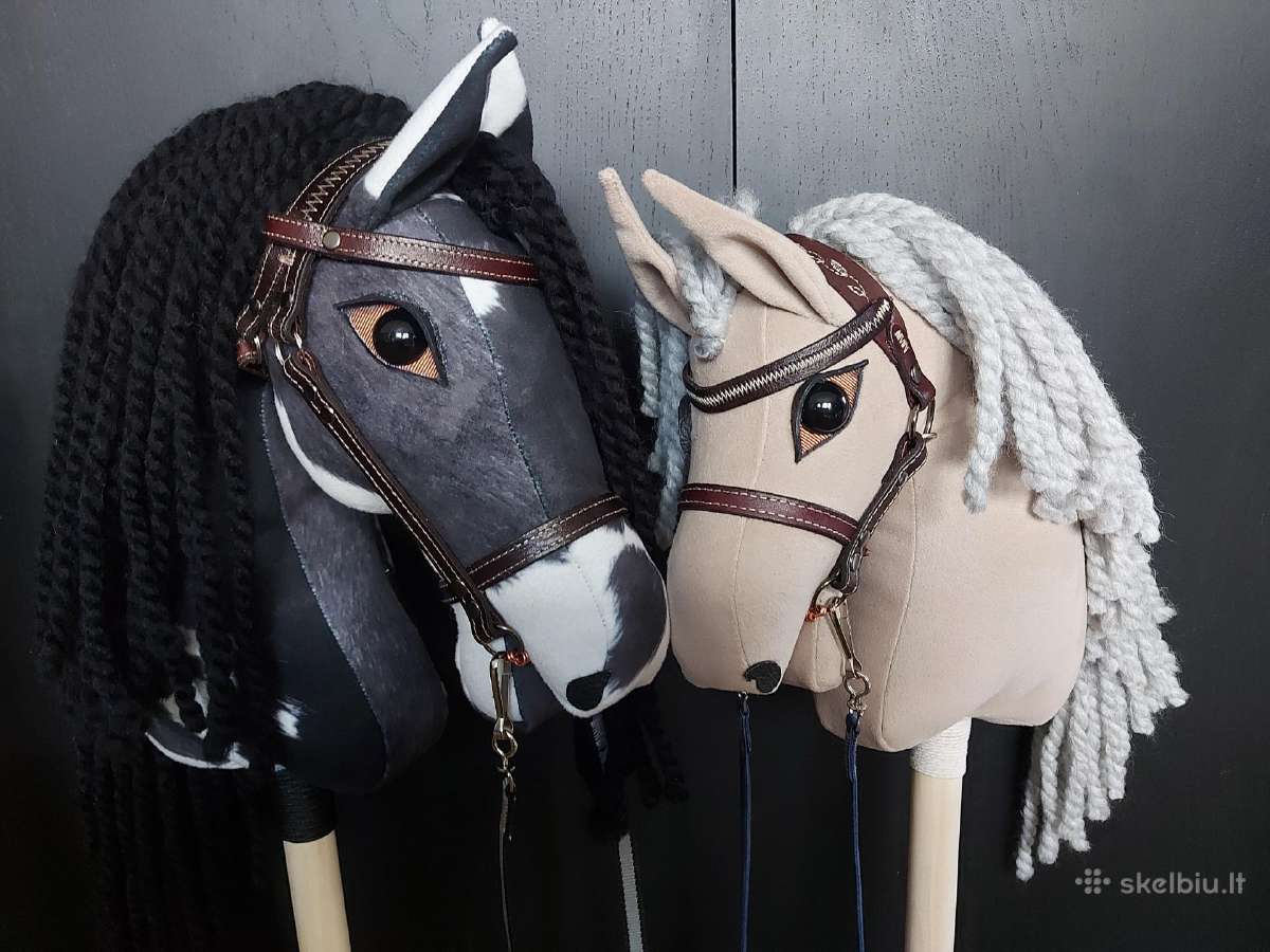 Hobby Horsing Arkliukai - nuotraukos Nr. 8