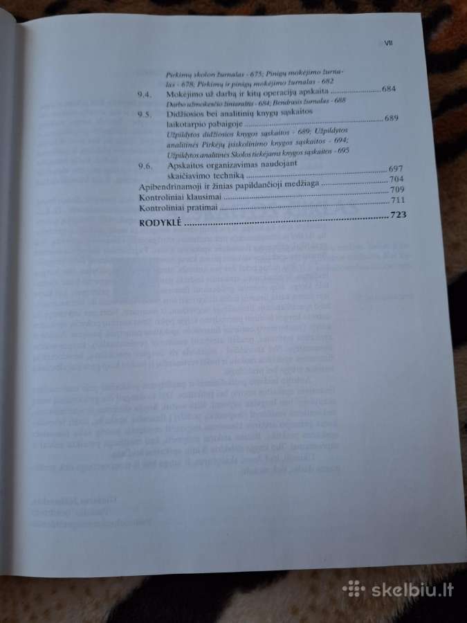 Įmonių apskaitos pagrindai - nuotraukos Nr. 6