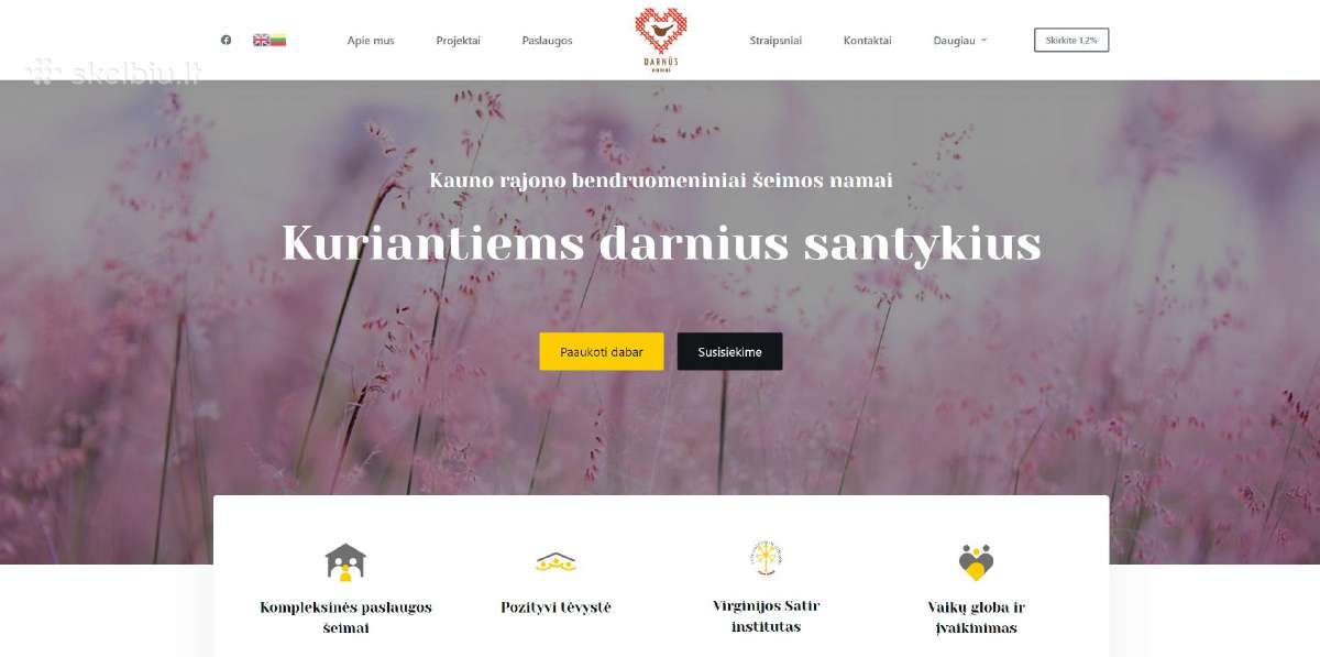 Internetinių svetainių ir parduotuvių kūrimas - nuotraukos Nr. 13