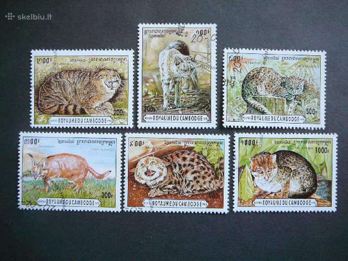 Kates laukines Kambodza 1996 antsp. kmb323
