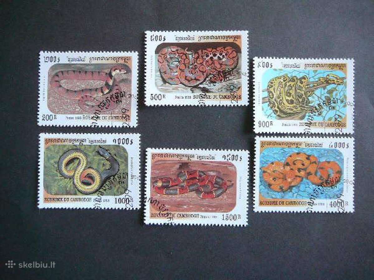 Gyvates Kambodza 1999 antsp. kmb739