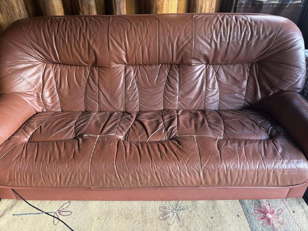 Odinė sofa-lova