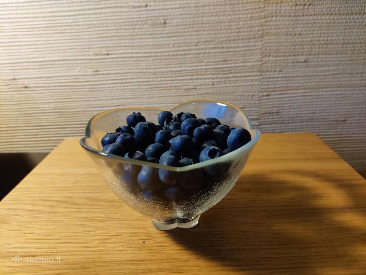 Elegantiški indeliai ledams, desertui (6vnt.) - nuotraukos Nr. 4