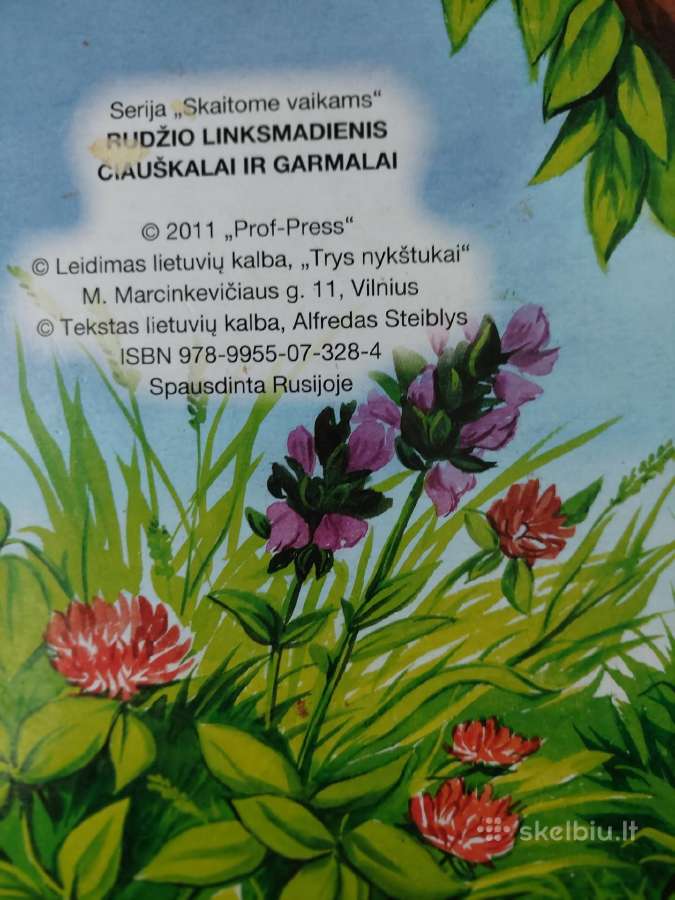 Knygelė vaikams "Rudžio linksmadienis" - nuotraukos Nr. 6