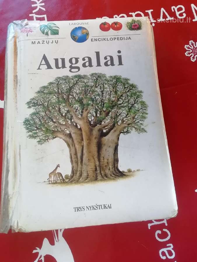 Mažųjų enciklopedija