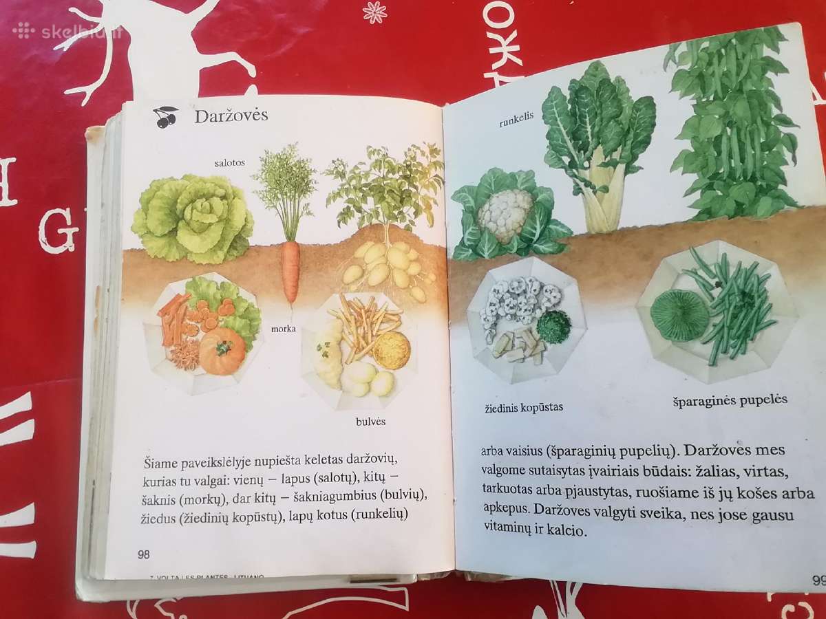 Mažųjų enciklopedija - nuotraukos Nr. 2