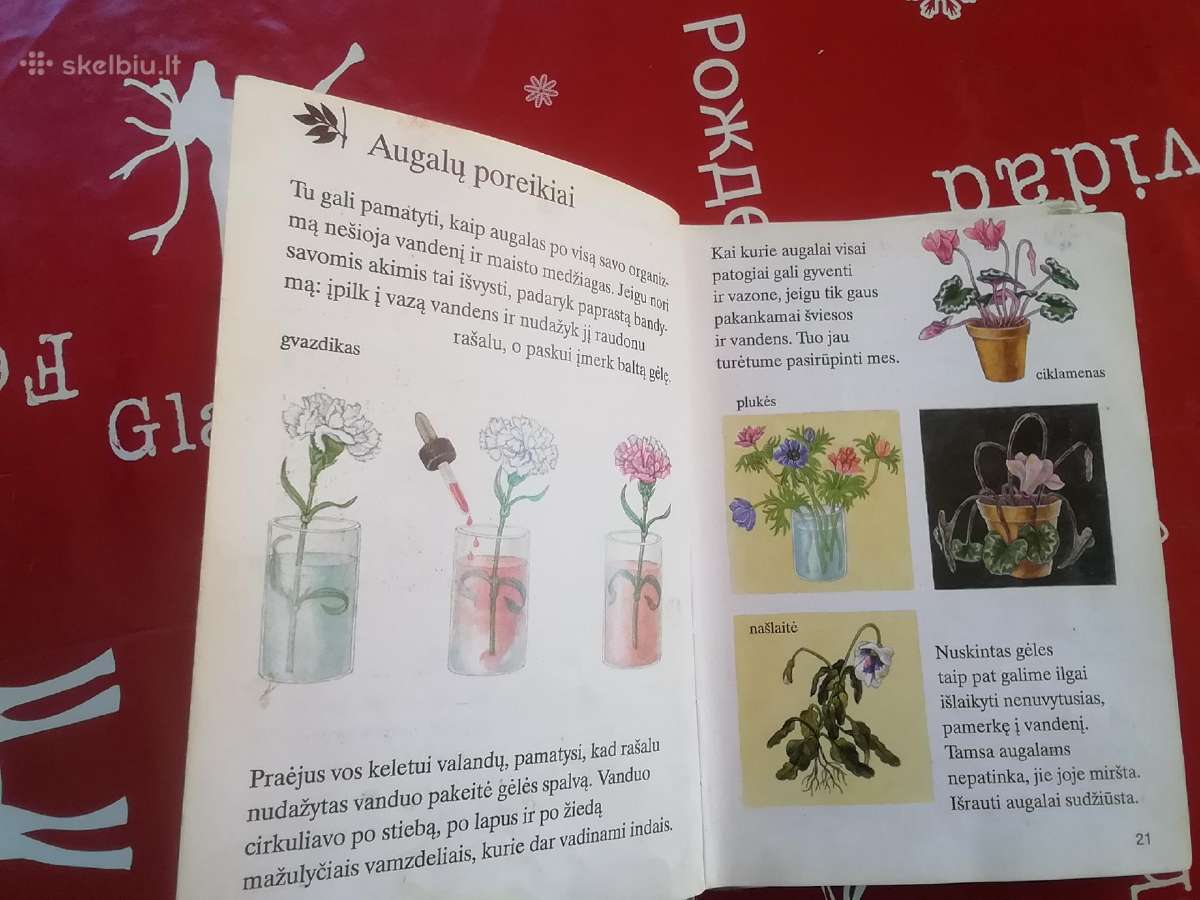 Mažųjų enciklopedija - nuotraukos Nr. 4