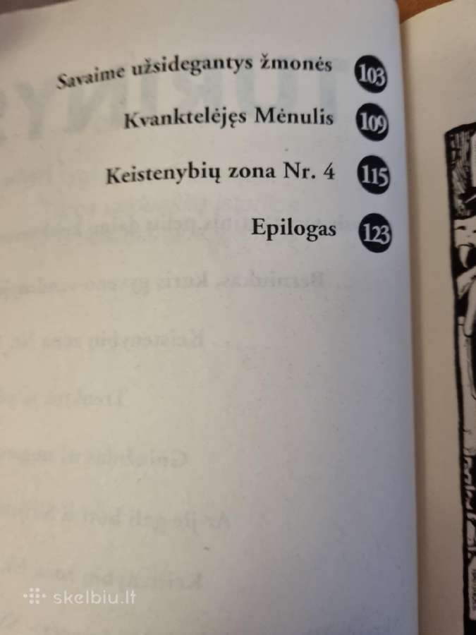 Tikros paslaptingos istorijos 2 vnt - nuotraukos Nr. 9