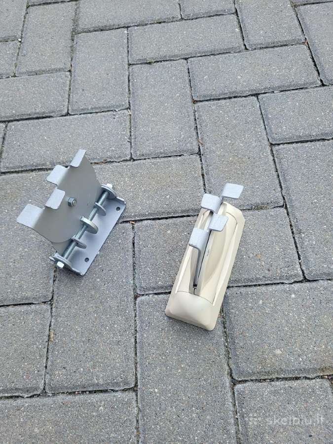 Koloneliu laikikliai