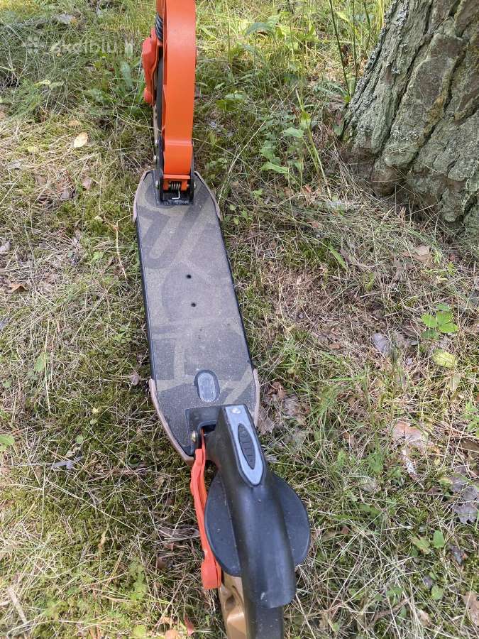 Paspirtukas - nuotraukos Nr. 2