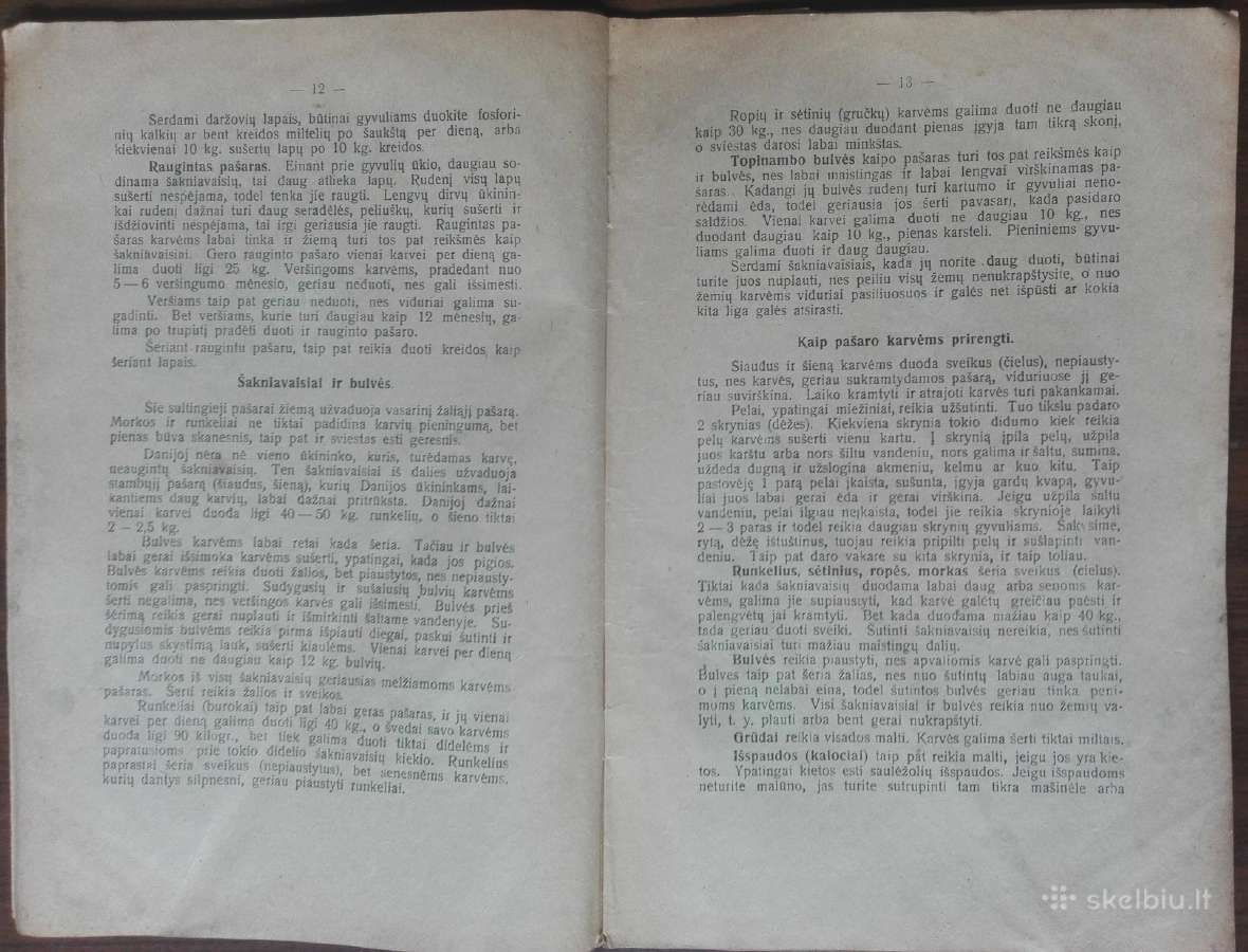 1587. Melžiamų Karvių Šėrimas reta antikvarinė-kol - nuotraukos Nr. 3