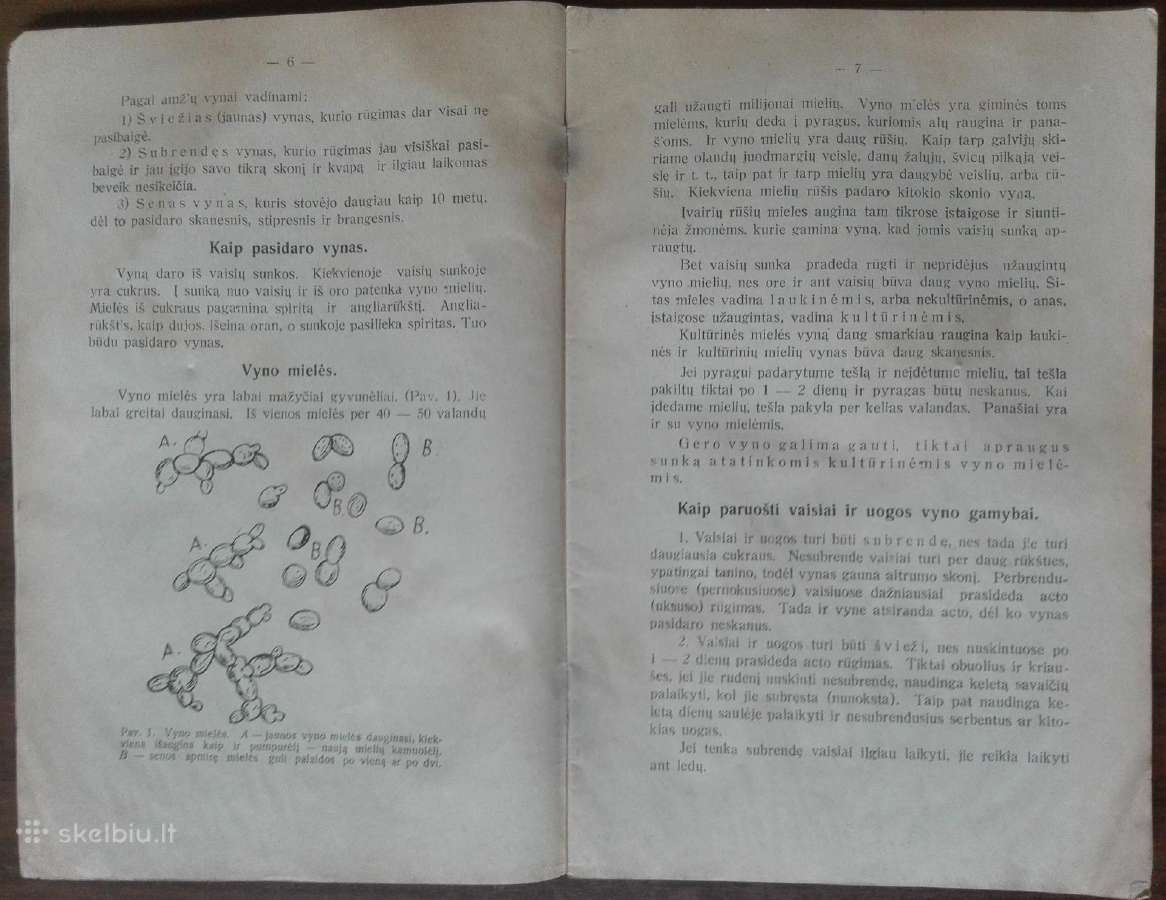 1588. Kaip Gaminti Vaisių Vynas antikvarinė-kolekc - nuotraukos Nr. 3