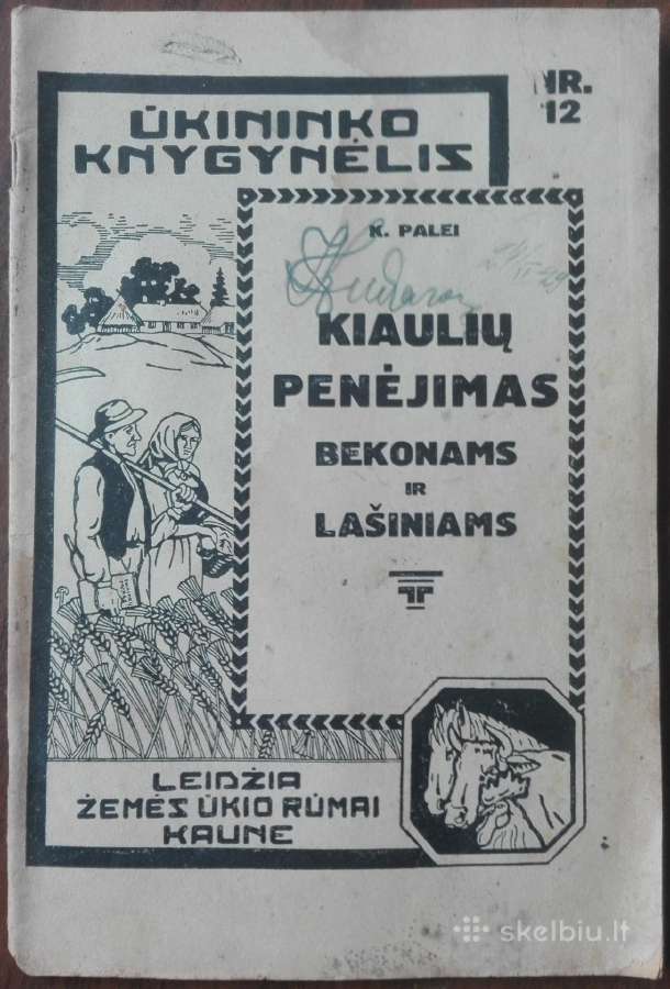 1590. Kiaulių Penėjimas Bekonams Ir Lašiniams