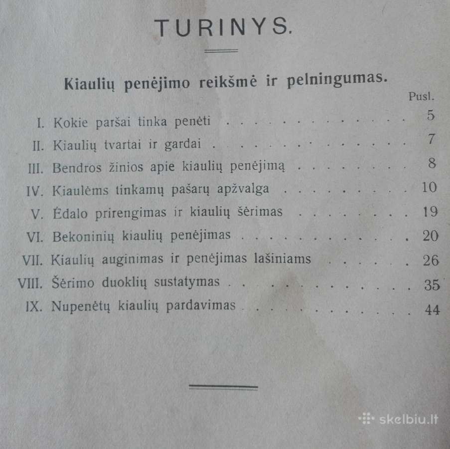 1590. Kiaulių Penėjimas Bekonams Ir Lašiniams - nuotraukos Nr. 2