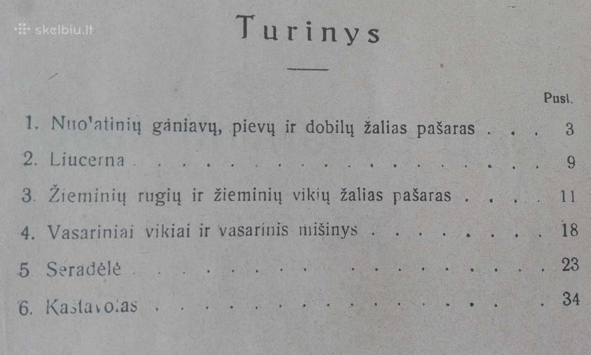 1592. Kaip Pagaminti Žalio Pašaro reta antikvarinė - nuotraukos Nr. 2
