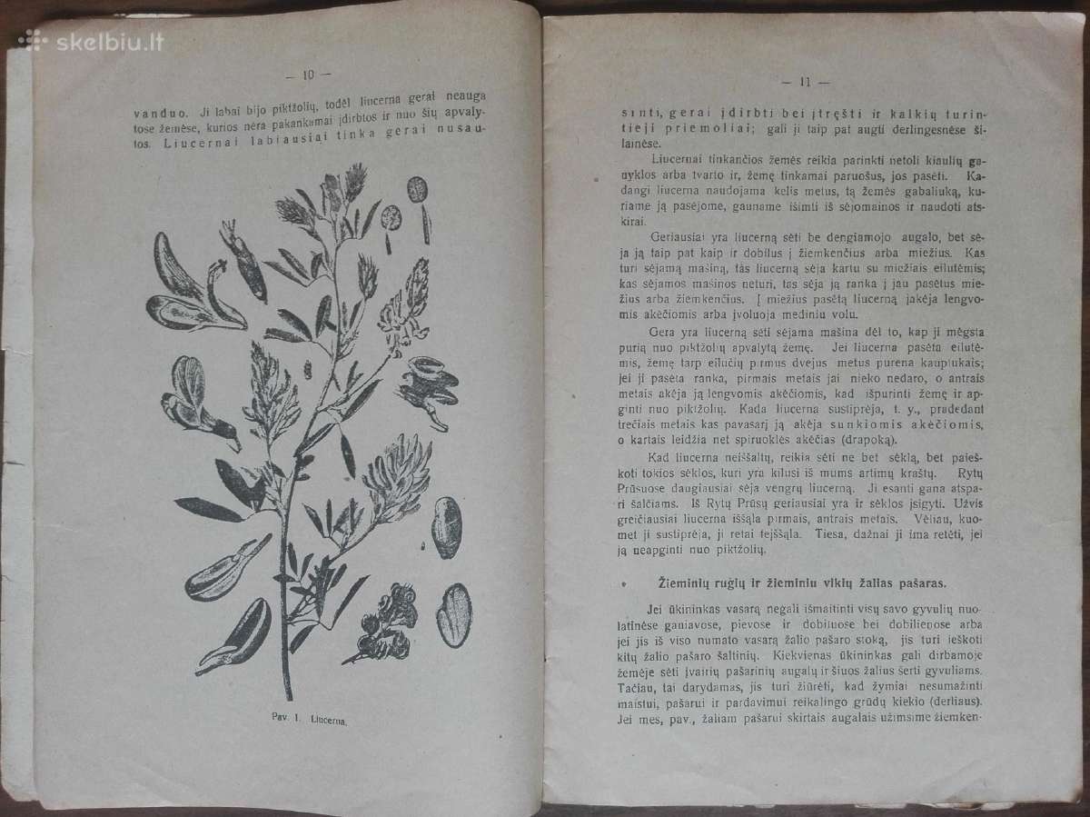 1592. Kaip Pagaminti Žalio Pašaro reta antikvarinė - nuotraukos Nr. 3